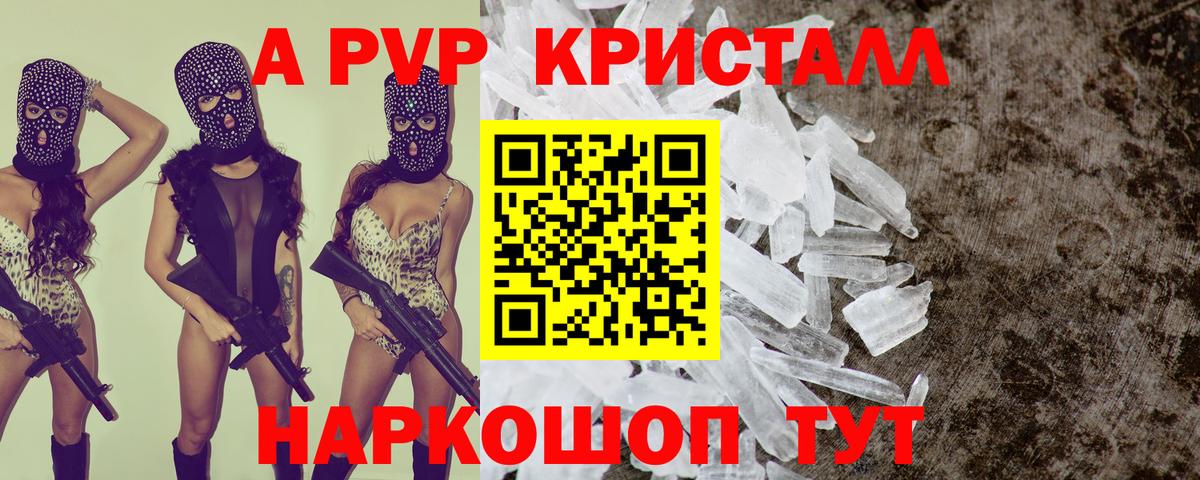 Alfa_PVP СК Чайковский