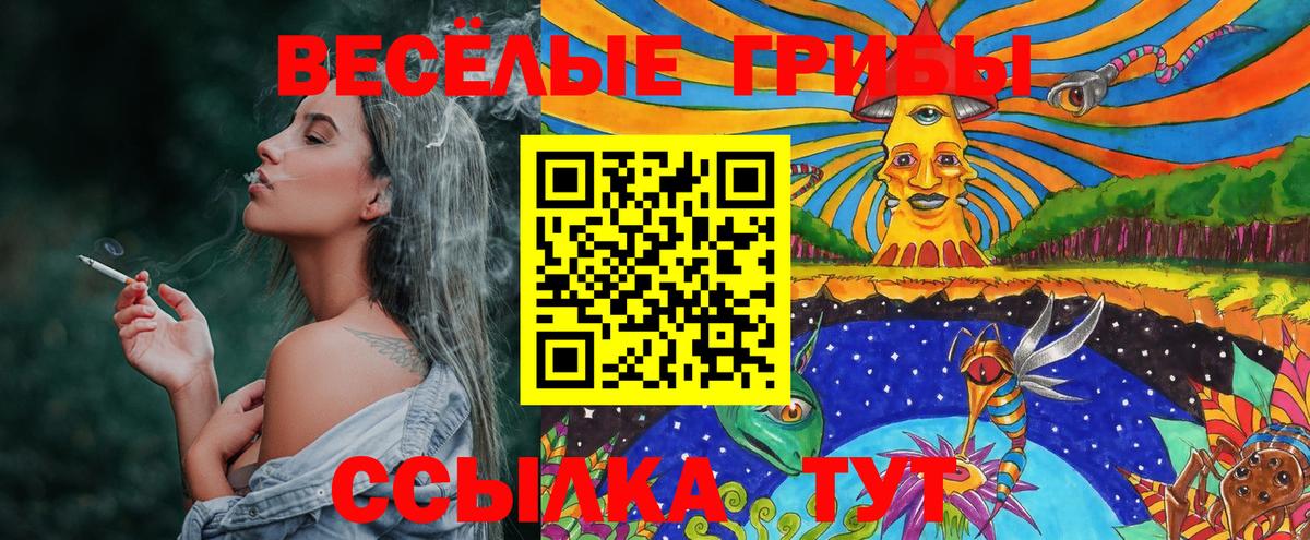Чайковский  Галлюциногенные грибы ЛСД  Псилоцибиновые грибы Psilocybine cubensis  Вход с VPN 