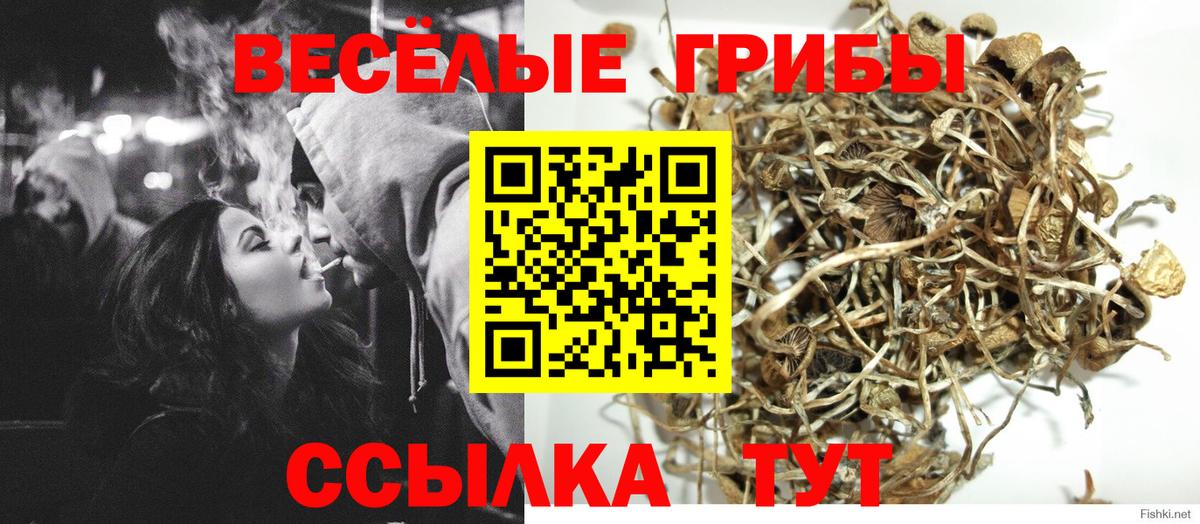 Галлюциногенные грибы прущие грибы Чайковский